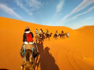 Foto de viajes en Marruecos con 1001 Tours Morocco Camellos