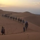 imagen de una caravana de camellos viajando entre las dunas con un grupo de clientes de !001 Tours Morocco