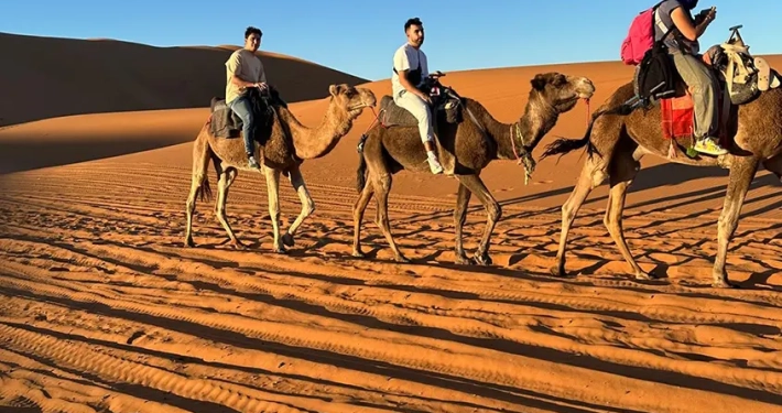 Clientes de 1001 Tours Morocco en paseo con camello por las dunas