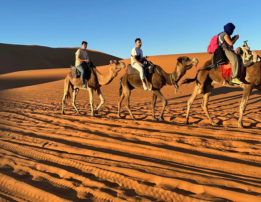 Clientes de 1001 Tours Morocco en paseo con camello por las dunas